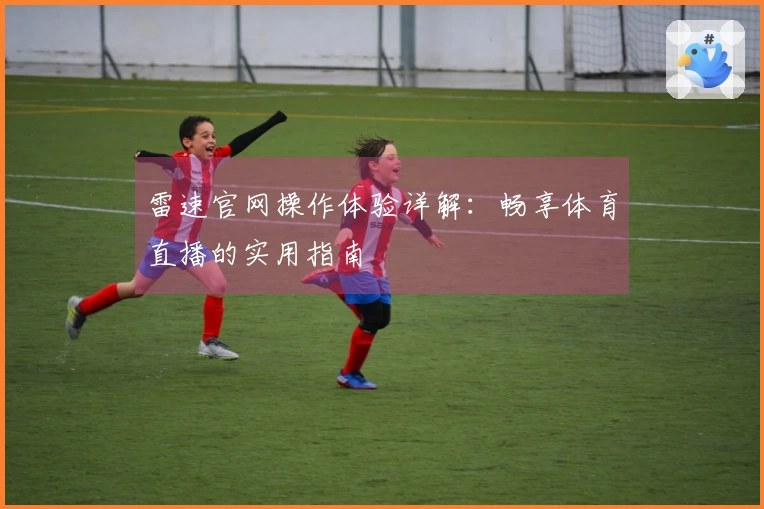 雷速官网操作体验详解：畅享体育直播的实用指南