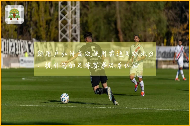 新用户如何高效使用雷速足球比分，提升您的足球赛事观看体验